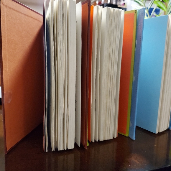 3 Diary of a Wimpy Kid Books - Picture 2 of 3